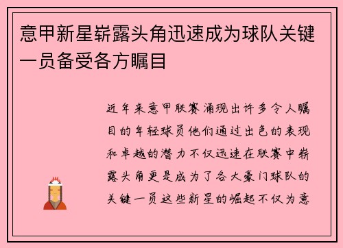 意甲新星崭露头角迅速成为球队关键一员备受各方瞩目